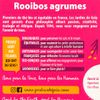 Le Rooibos agrumes BIO