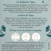 L'Infusion nuit enchantée BIO