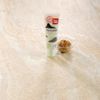 Le Wasabi végan BIO