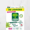 La Lessive en poudre végétal " Arbre vert"