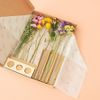 Les Fleurs séchées multicolore avec vase