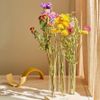 Les Fleurs séchées multicolore avec vase