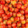 La Cerise rainier 500g