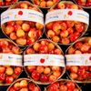 La Cerise rainier 500g