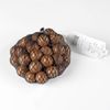 La Noix de macadamia