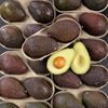 Les 2 Avocats sélection mûrs à point