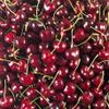 La cerise en colis 2kg