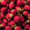 La Fraise framboise