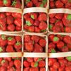 La Fraise magnum