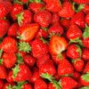 La Fraise magnum