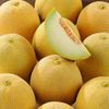 Le Melon galia