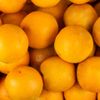 L'Orange tropicale