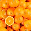 L'Orange Maltaise