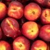 La Nectarine jaune ou blanche en colis de 4kg
