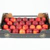 La Nectarine jaune ou blanche en colis de 4kg