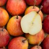 La Poire cascade HVE