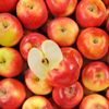 La Pomme red prince HVE