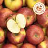 La Pomme daliclass HVE