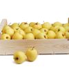 La Pomme spéciale compote en colis de 8kg (variété selon arrivage)