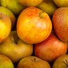 La Pomme spéciale compote en colis de 5kg (variété selon arrivage)