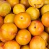 La Prune Soriana
