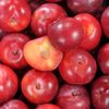 La Prune confiture en colis de 5kg