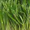 La Feuille de pandan