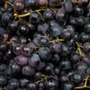 Le Raisin Lavallée HVE