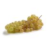 Le Raisin chasselas de Moissac AOP