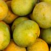 La Mangue BIO
