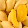 La Mangue Nam Dok Maï