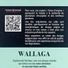 Le Café Wallaga BIO fruité en capsule