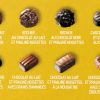 L'Ecrin dégustation de chocolats
