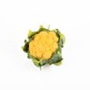 Le Chou-fleur orange