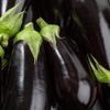 L'Aubergine noire BIO