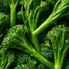 Le Mini Brocoli Bimi