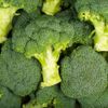 Le Brocoli BIO