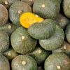 La Courge delica moretti