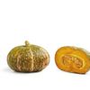 La Courge delica moretti