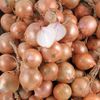 L'Oignon rose de Bretagne Tresse