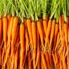 La Mini-carotte en botte pour art culinaire 150g