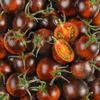 La Tomate cerise prune