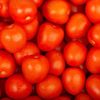 La Tomate à cuire second choix en colis de 8kg