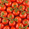 La Tomate grappe BIO