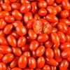 La Tomate cerise rouge allongée