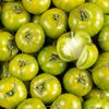 La Tomate zébrée verte- Sélection variété ancienne