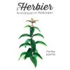 Les Feuilles de menthe poivrée BIO