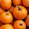 La Courge "Jack o lantern" Halloween (6 à 8 kg)