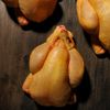 Le Coquelet jaune de Vendée 500 à 600g "Faye"