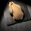 Le Poulet fermier jaune label rouge Halal